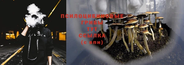 PSILOCYBIN Абдулино