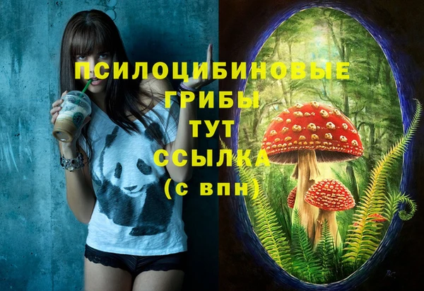 соль курить ск Абаза