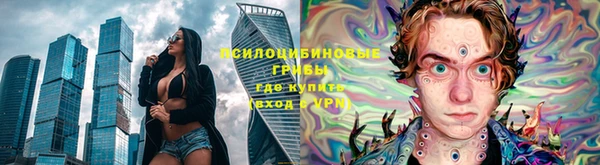PSILOCYBIN Абдулино