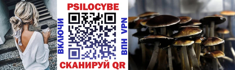 где найти наркотики  Шумерля  Галлюциногенные грибы GOLDEN TEACHER 